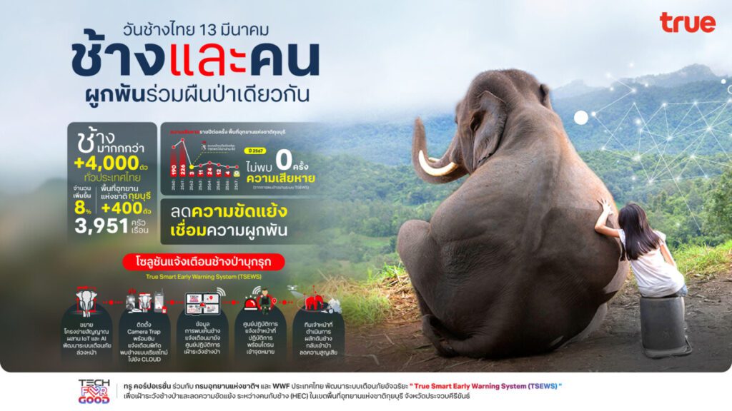 เทคโนโลยีกับวันช้างไทย: TSEWS โซลูชันลดความขัดแย้งระหว่างคนกับช้าง