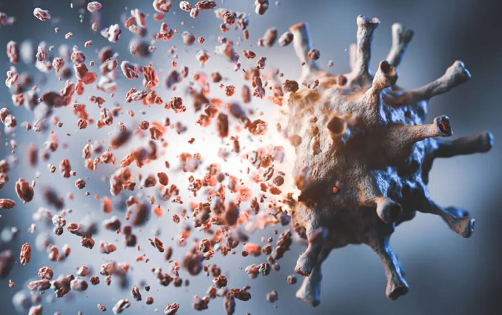 ความหวังใหม่! นักวิทยาศาสตร์ไทยค้นพบ "มังคุดเสริมฤทธิ์" จัดการมะเร็งต่อมน้ำเหลืองได้ผลจริง พร้อมย้อนวัยให้ร่างกาย!