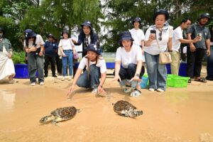 โคเซ่ประเทศไทย ยืนหยัดอนุรักษ์ทะเลไทย จัดกิจกรรม 'ปล่อยเต่า-ปลูกปะการัง' ต่อเนื่องกว่า 15 ปี พร้อมสมทบทุนศูนย์วิจัยฯ