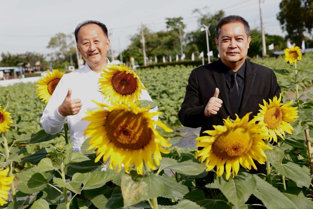 ซีพีแรมเปิด "ทานตะวันบานสะพรั่งทั่วระแหง ครั้งที่ 6" ชวนเช็กอินทุ่งทานตะวัน 5 ไร่ ใกล้กรุงเทพฯ สร้างความสุขและเสริมเศรษฐกิจชุมชน