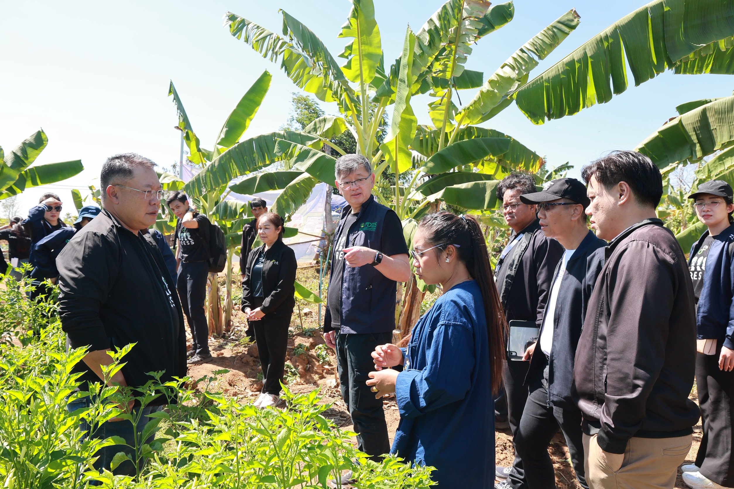 ดีอี บุกนครพนม! ชูโมเดล OTOD พลิกโฉมเกษตรด้วย AI - ดันศูนย์ดิจิทัลชุมชนสร้างความเชื่อมั่นให้ชาวบ้าน