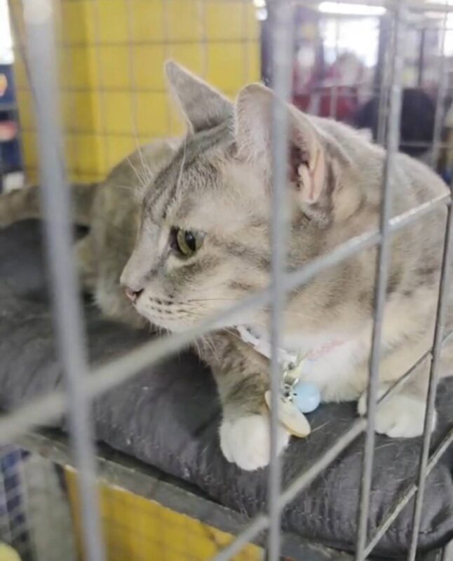 จาก "ขยะ" สู่ "ความรัก" " เมื่อนวัตกรรมจากเอปสัน โอบอุ้ม 97 ชีวิต ณ วัดคงคา