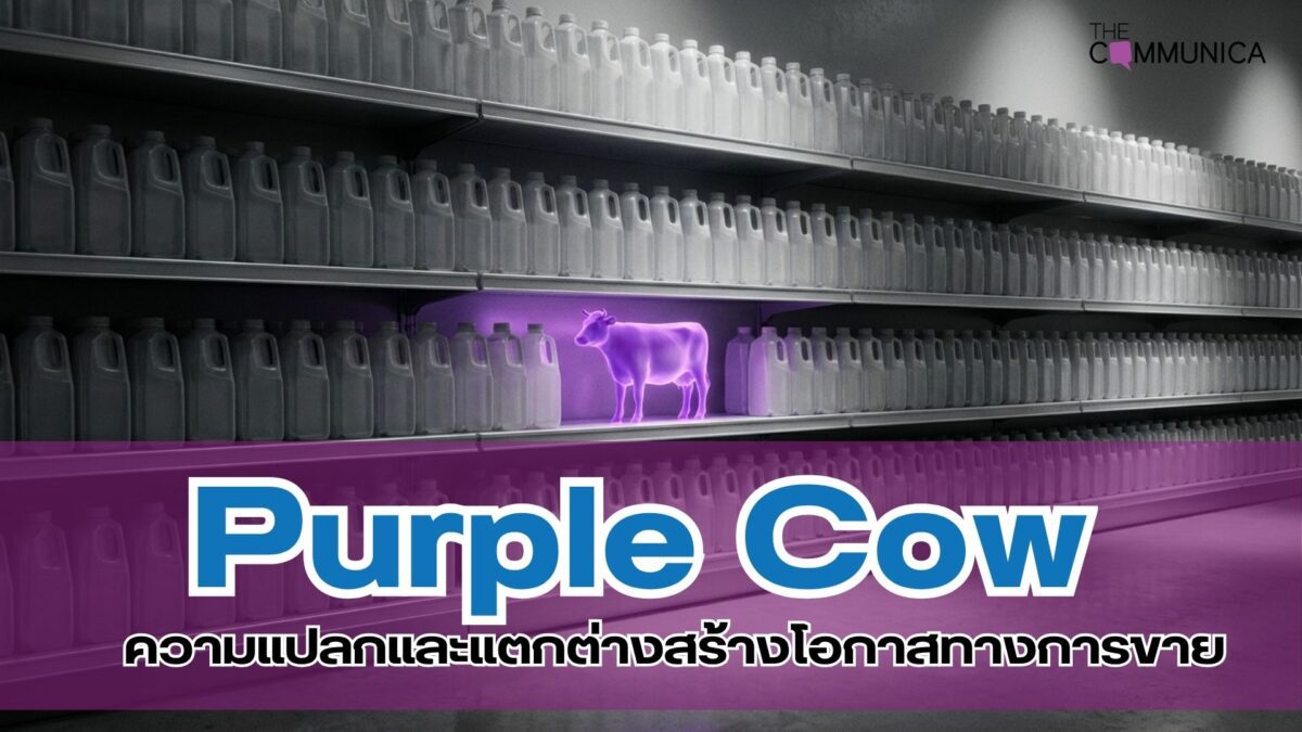 Purple Cow กลยุทธ์ใช้ความต่าง สร้างโอกาสทางการขาย