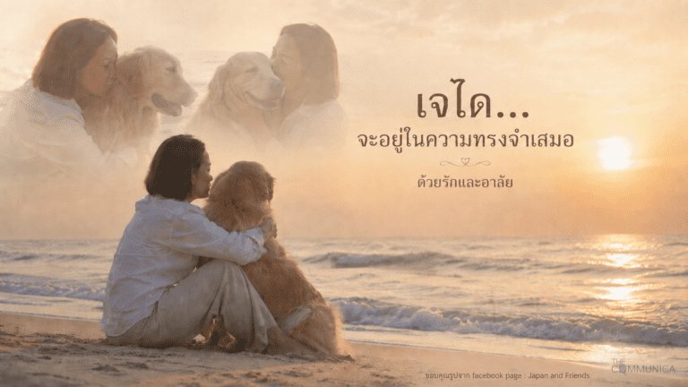 อาลัยรัก "เจได" แห่งครอบครัว Japan & Friends หมาผู้มอบรอยยิ้มและความผูกพันให้คนทั้งโซเชียล
